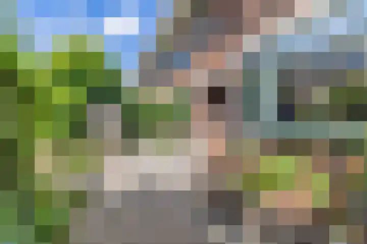 van Faukenbergestraat 74 Voorburg thumbnail 5