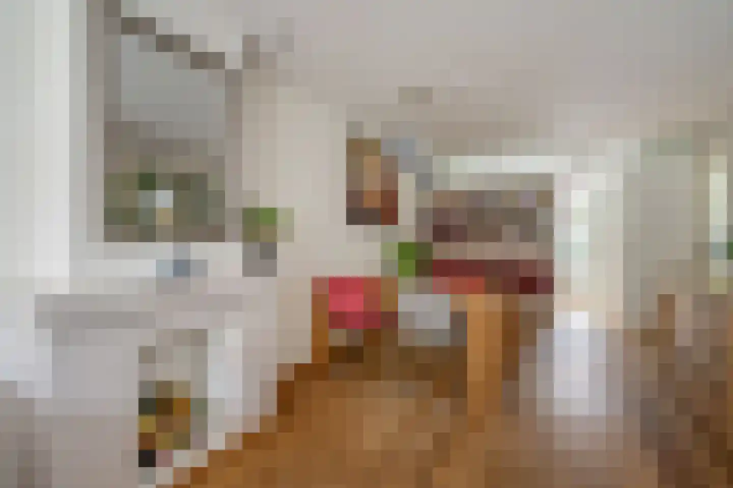 van Faukenbergestraat 82 Voorburg thumbnail 15