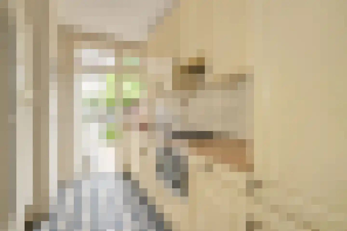 van Faukenbergestraat 82 Voorburg thumbnail 17