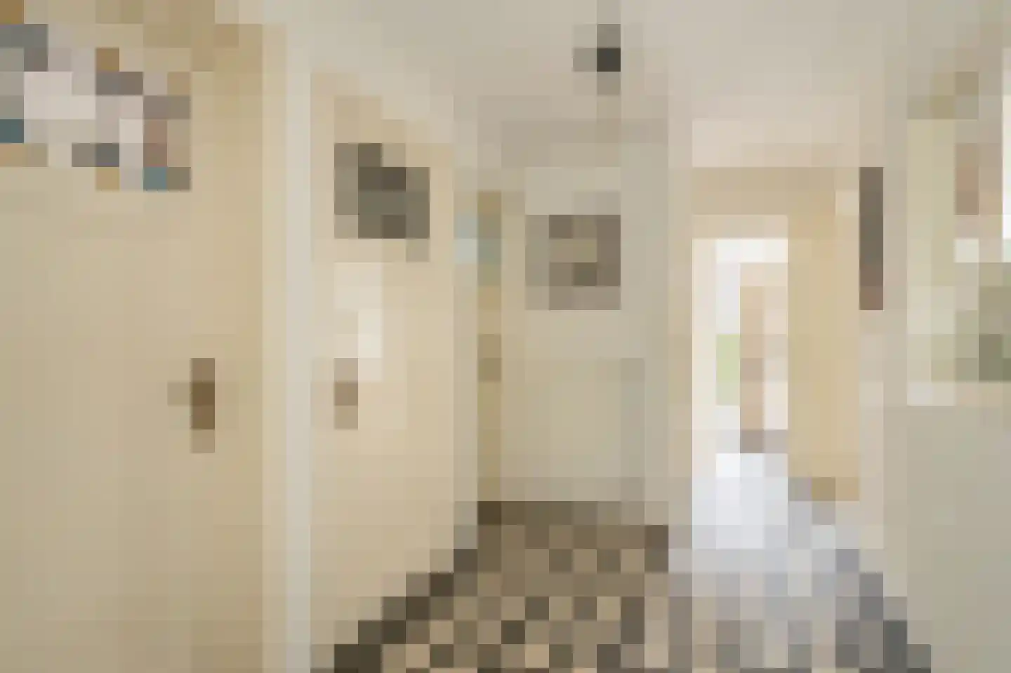 van Faukenbergestraat 82 Voorburg thumbnail 8