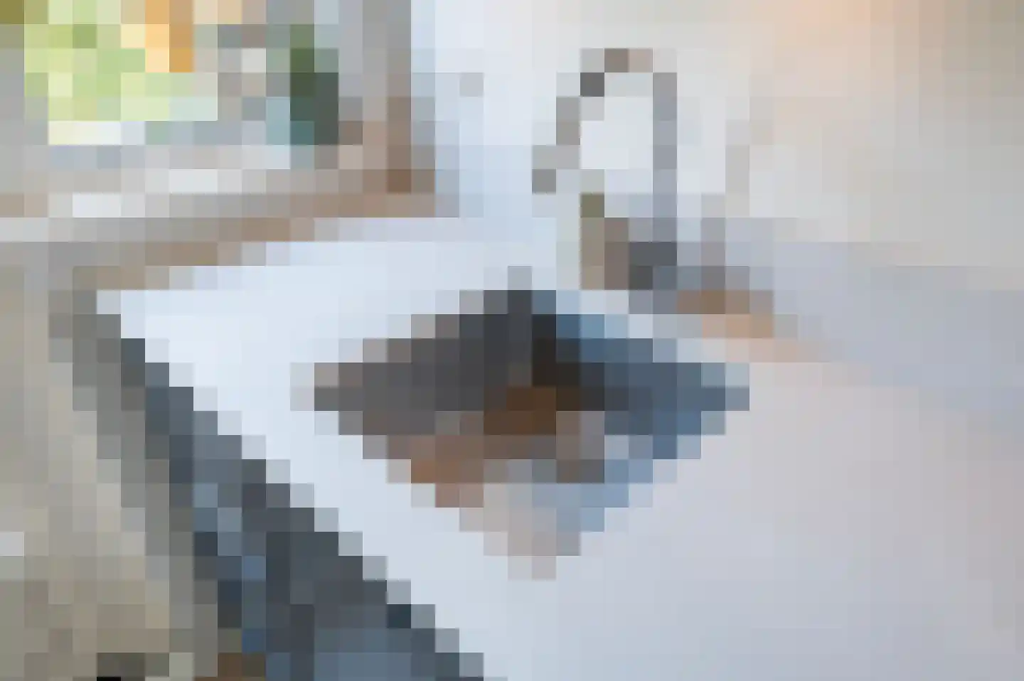 van Faukenbergestraat 98 Voorburg thumbnail 25