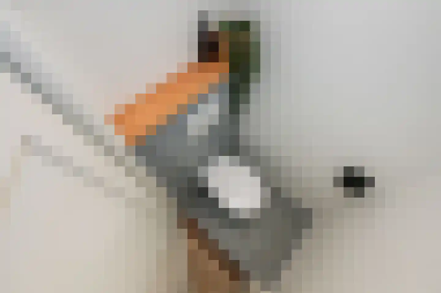 van Faukenbergestraat 98 Voorburg thumbnail 7