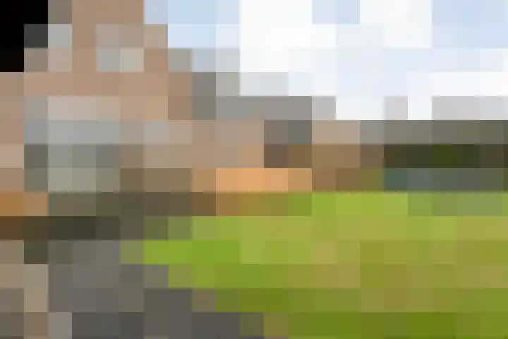 Van Foreestallee 20 Hardenberg thumbnail 44
