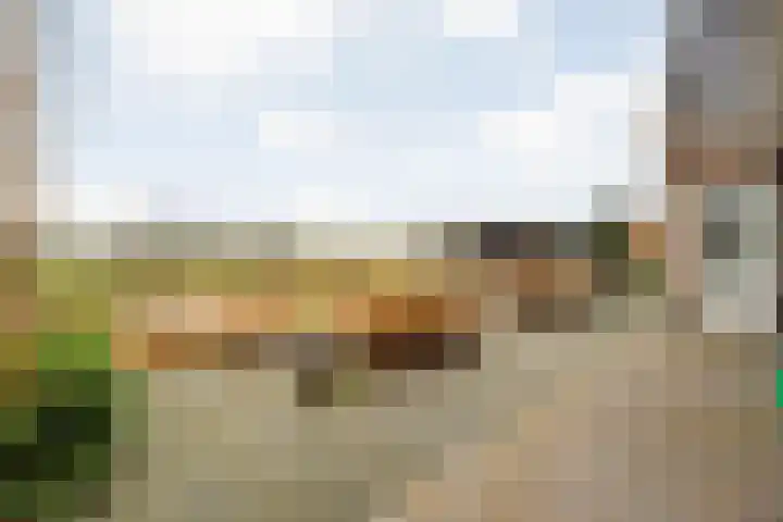 Van Foreestallee 20 Hardenberg thumbnail 49