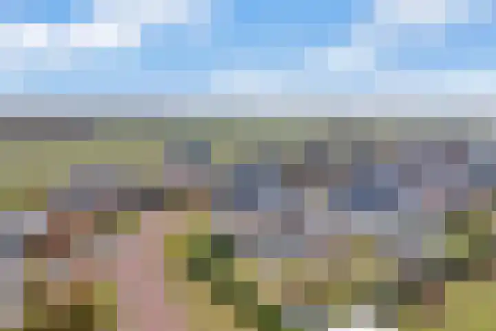 Van Foreestallee 43 Hardenberg thumbnail 47