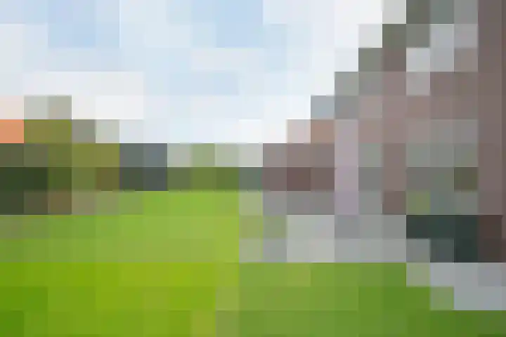 Van Foreestallee 7 Hardenberg thumbnail 38