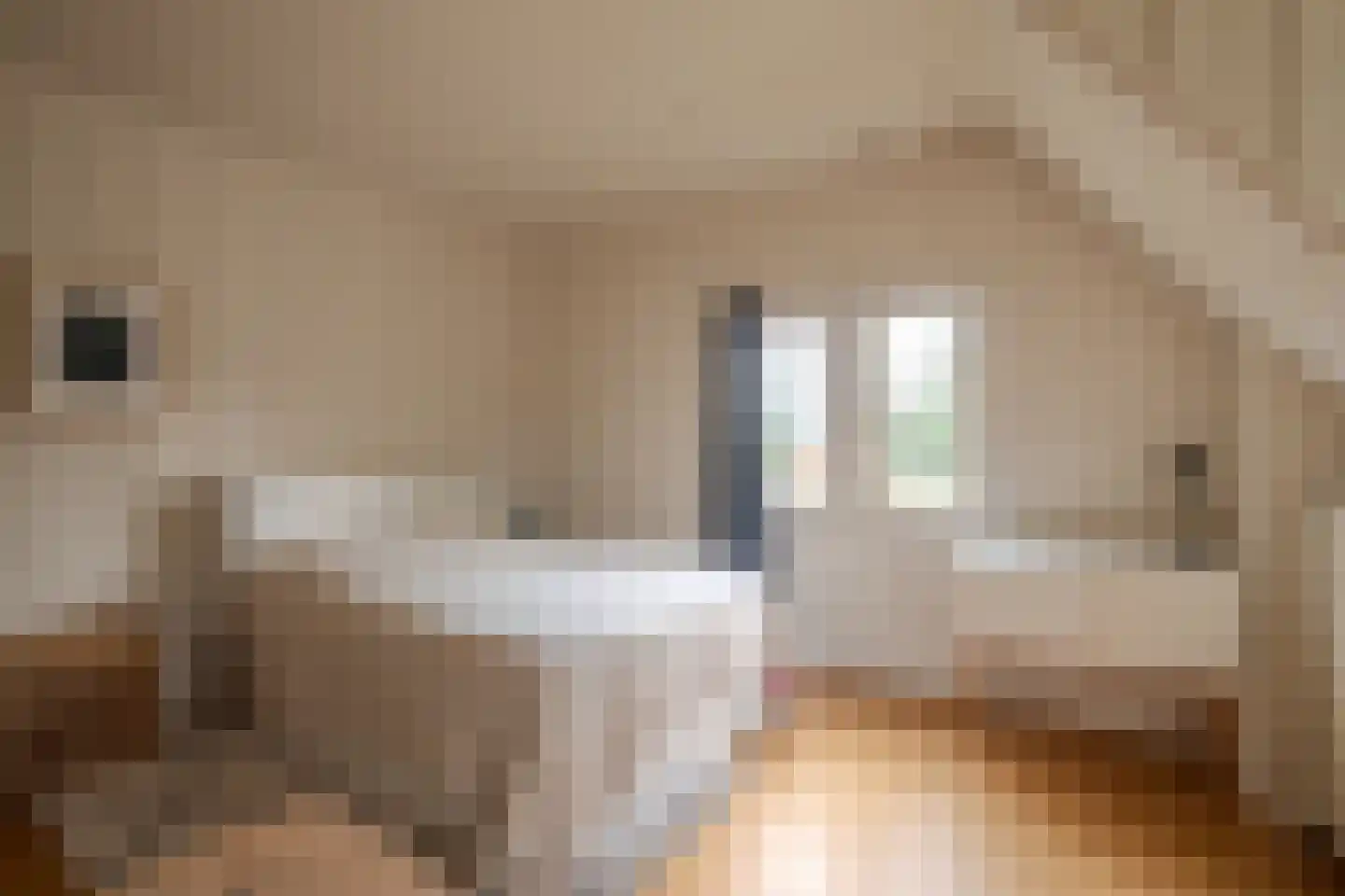 Van Foreestlaan 1 Heiloo thumbnail 47