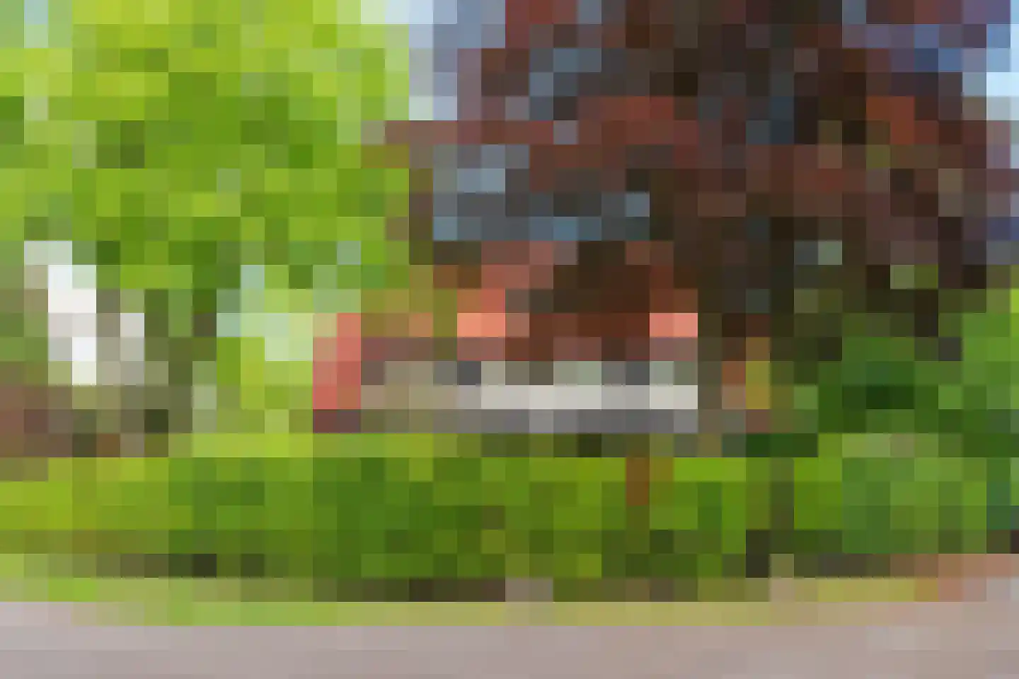 Van Foreestlaan 1 Heiloo thumbnail 55