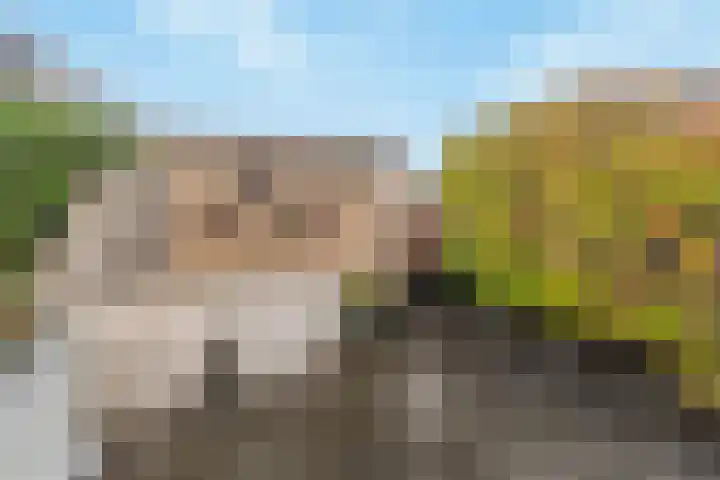 Van Foreestlaan 13 Barendrecht thumbnail 31