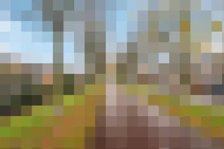 Van Foreestlaan 13 Barendrecht thumbnail 44