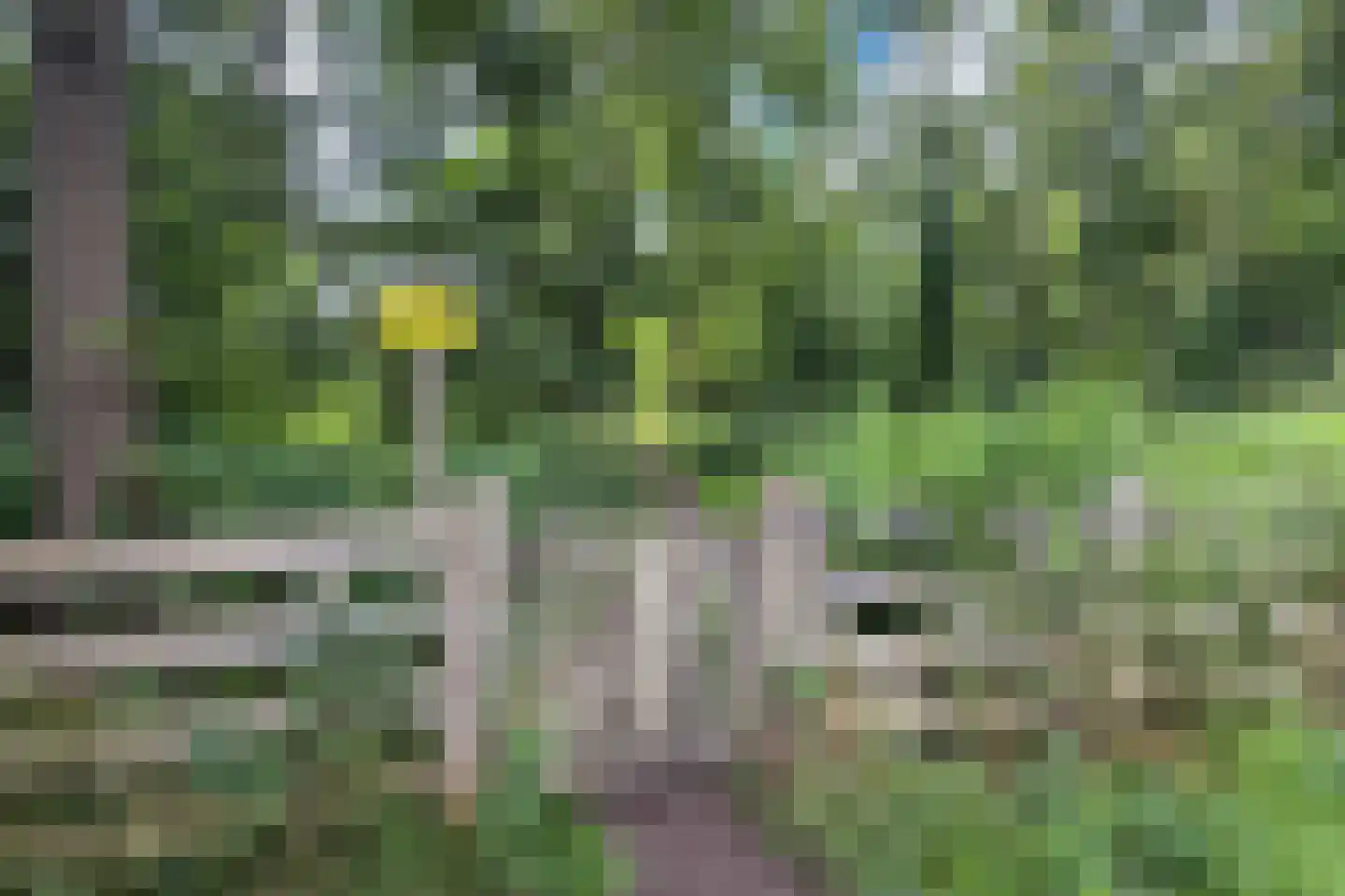 Van Foreestlaan 18 Heiloo thumbnail 73