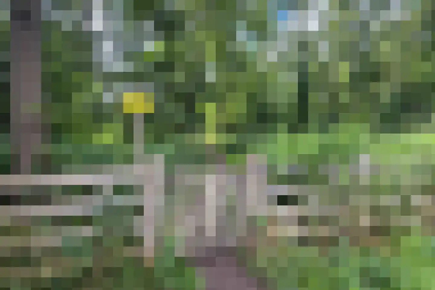 Van Foreestlaan 18 Heiloo thumbnail 74
