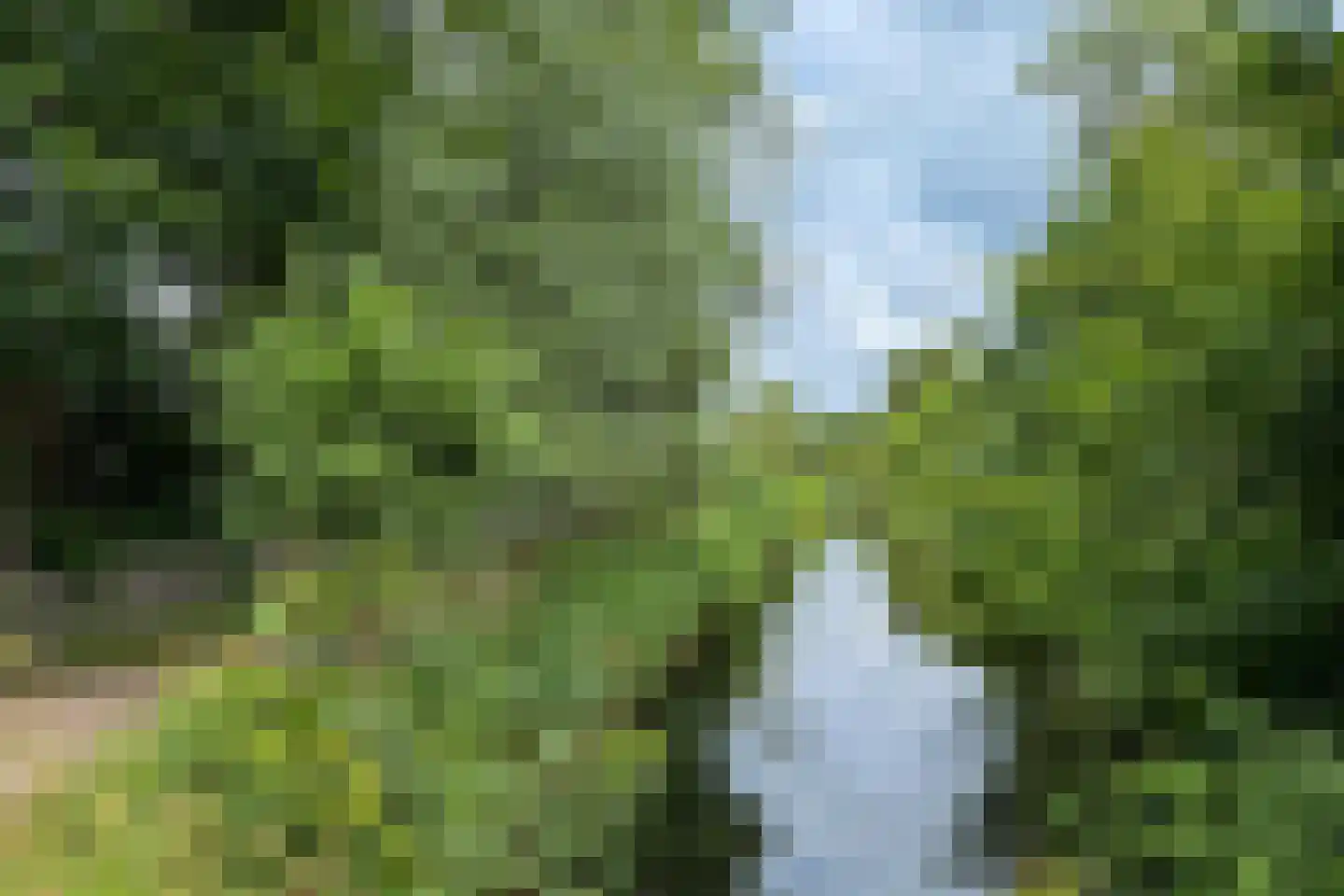 Van Foreestlaan 18 Heiloo thumbnail 75