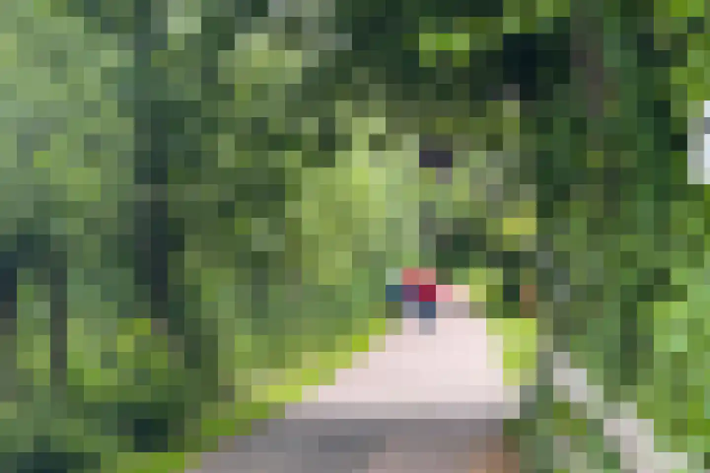 Van Foreestlaan 18 Heiloo thumbnail 76