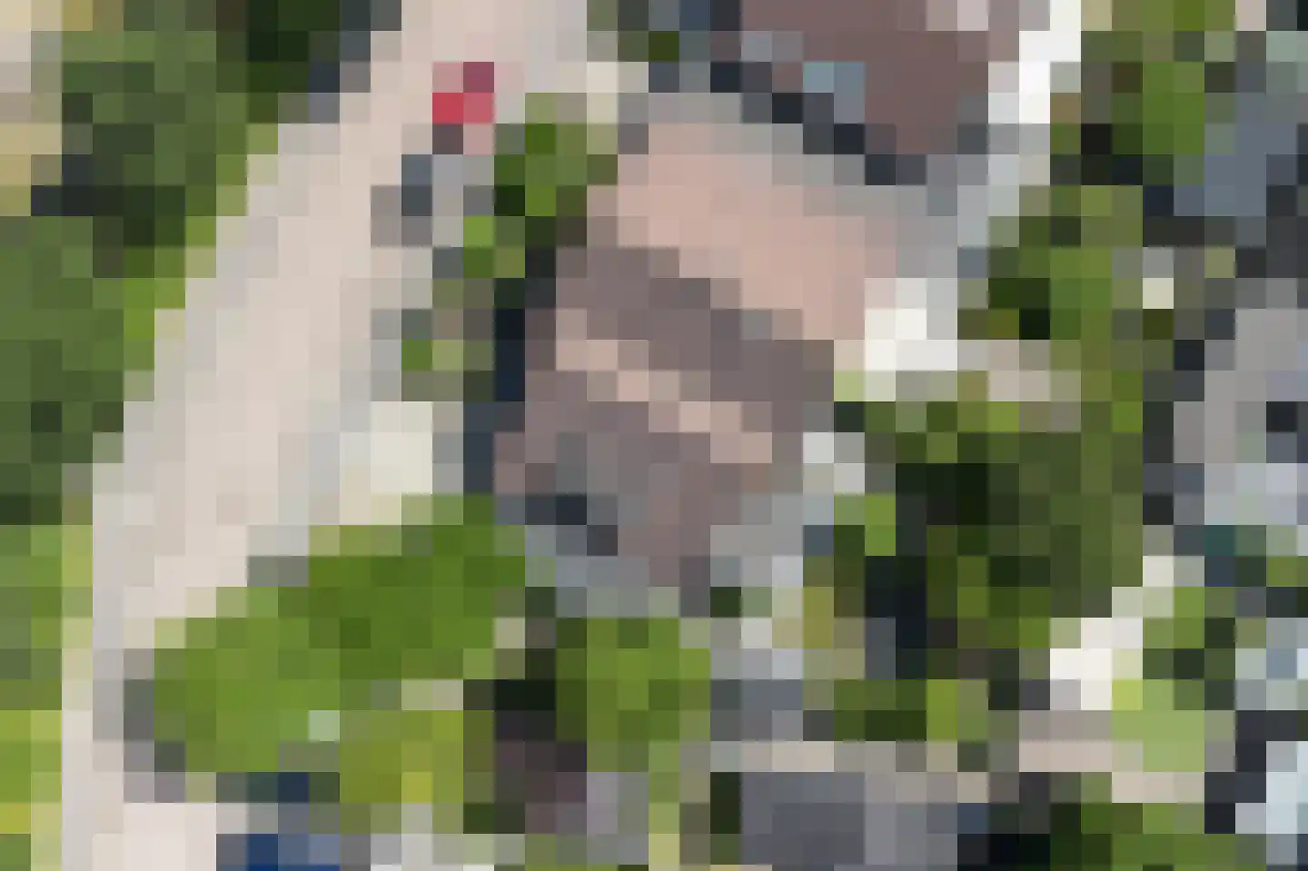 Van Foreestlaan 19 Barendrecht thumbnail 44