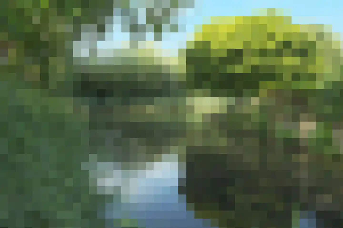 Van Foreestlaan 19 Barendrecht thumbnail 45