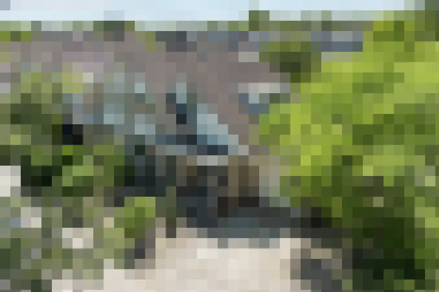 Van Foreestlaan 19 Barendrecht thumbnail 6