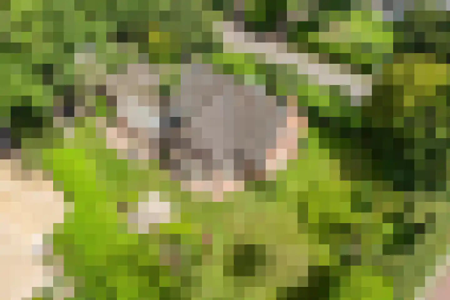 Van Foreestlaan 2 Heiloo foto 2