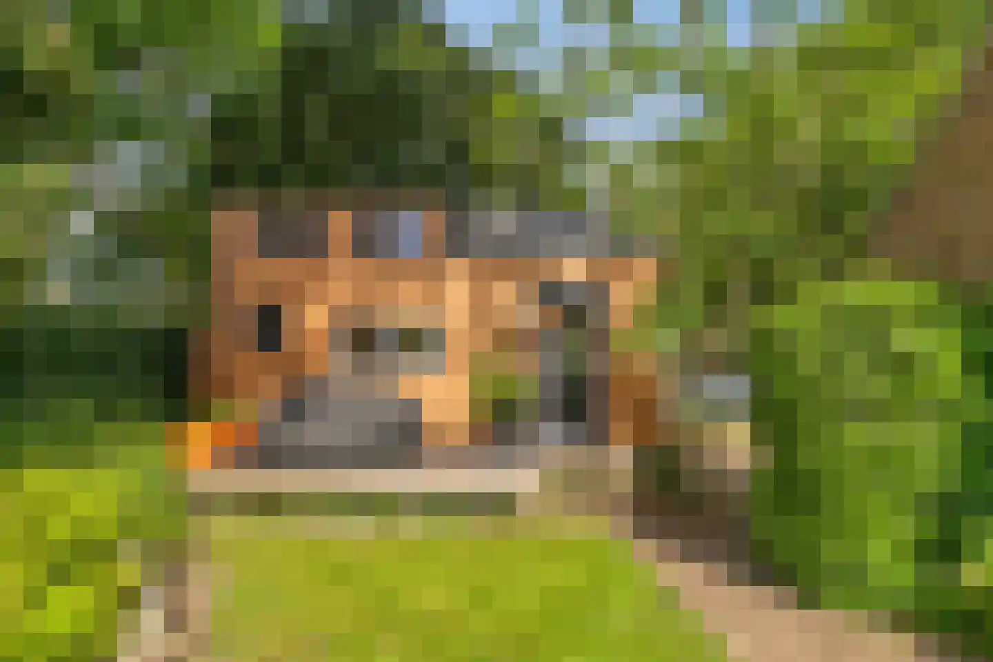 Van Foreestlaan 2 Heiloo thumbnail 47
