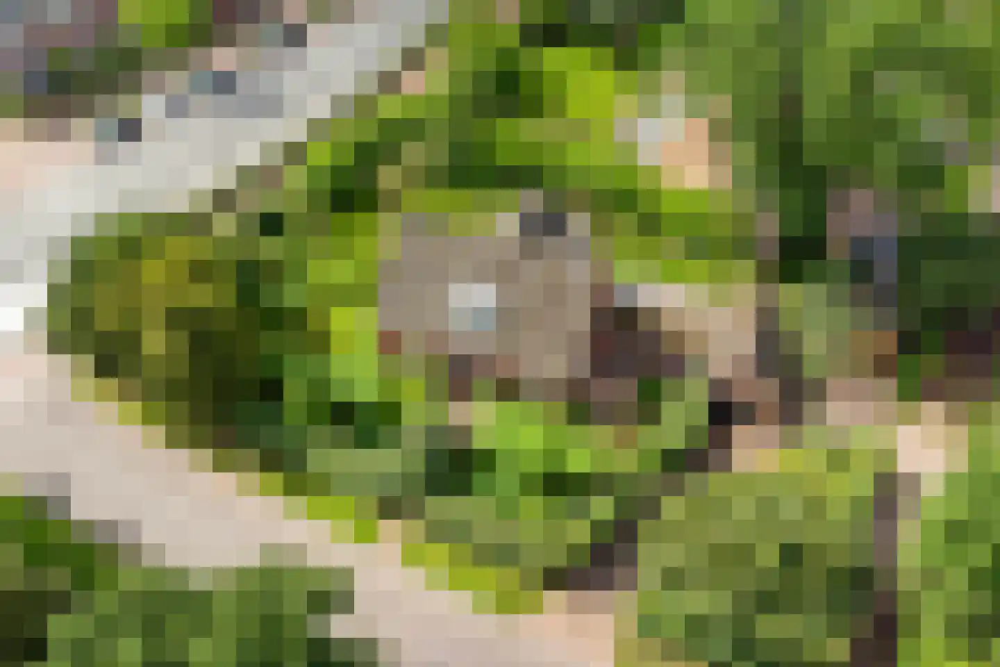 Van Foreestlaan 2 Heiloo thumbnail 64