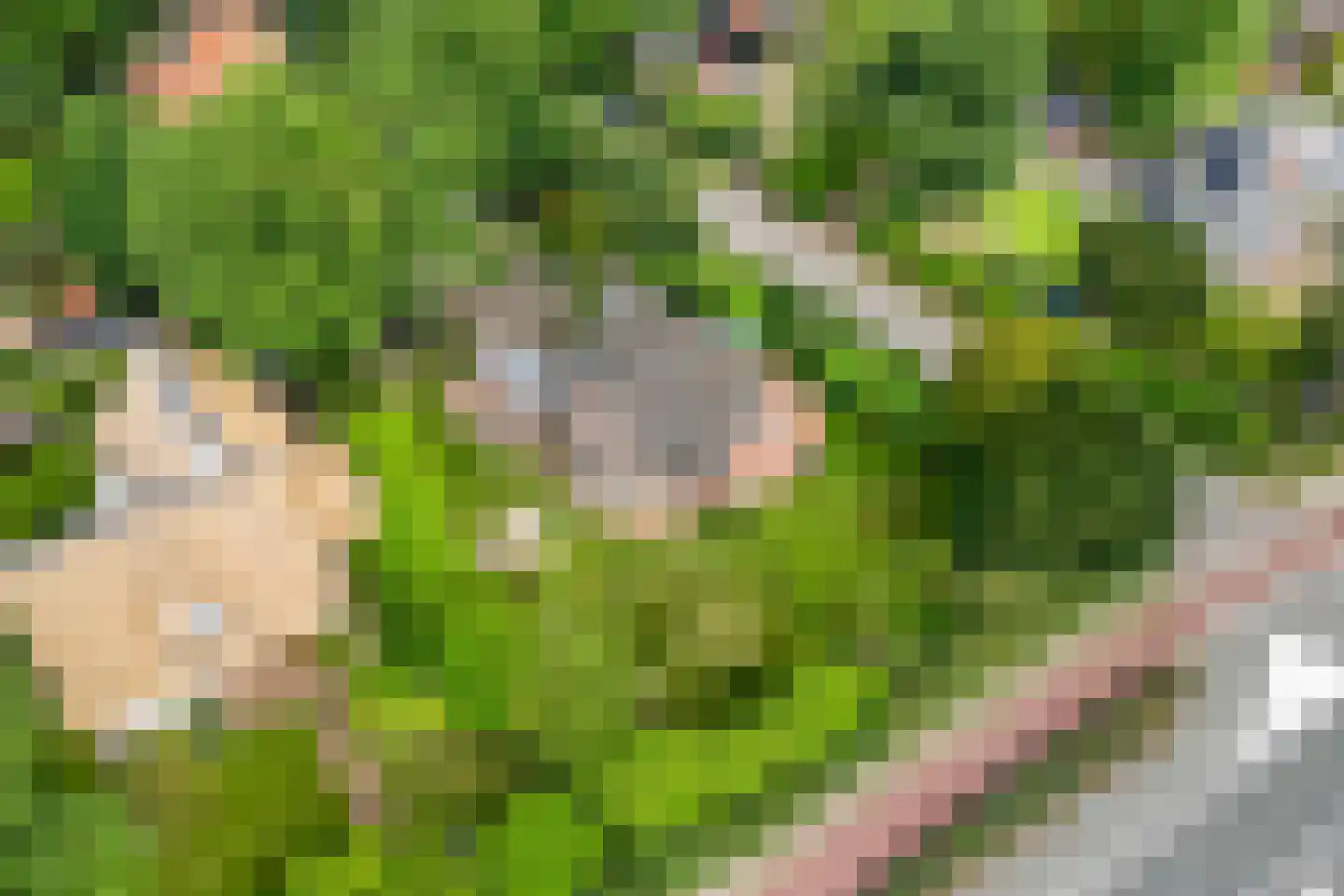 Van Foreestlaan 2 Heiloo thumbnail 65