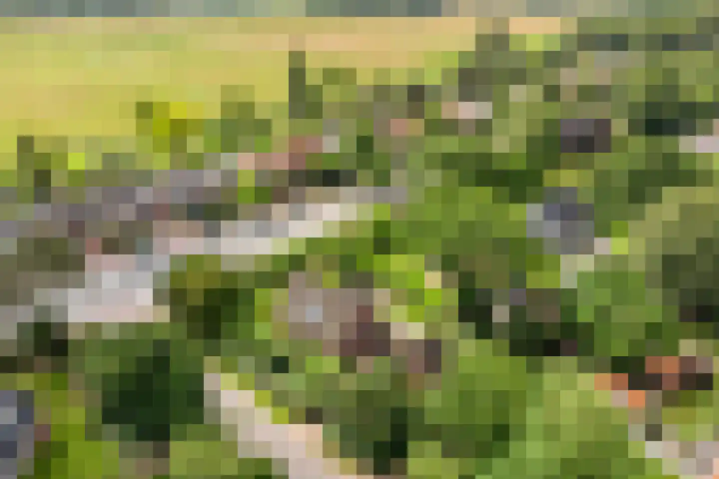 Van Foreestlaan 2 Heiloo thumbnail 69
