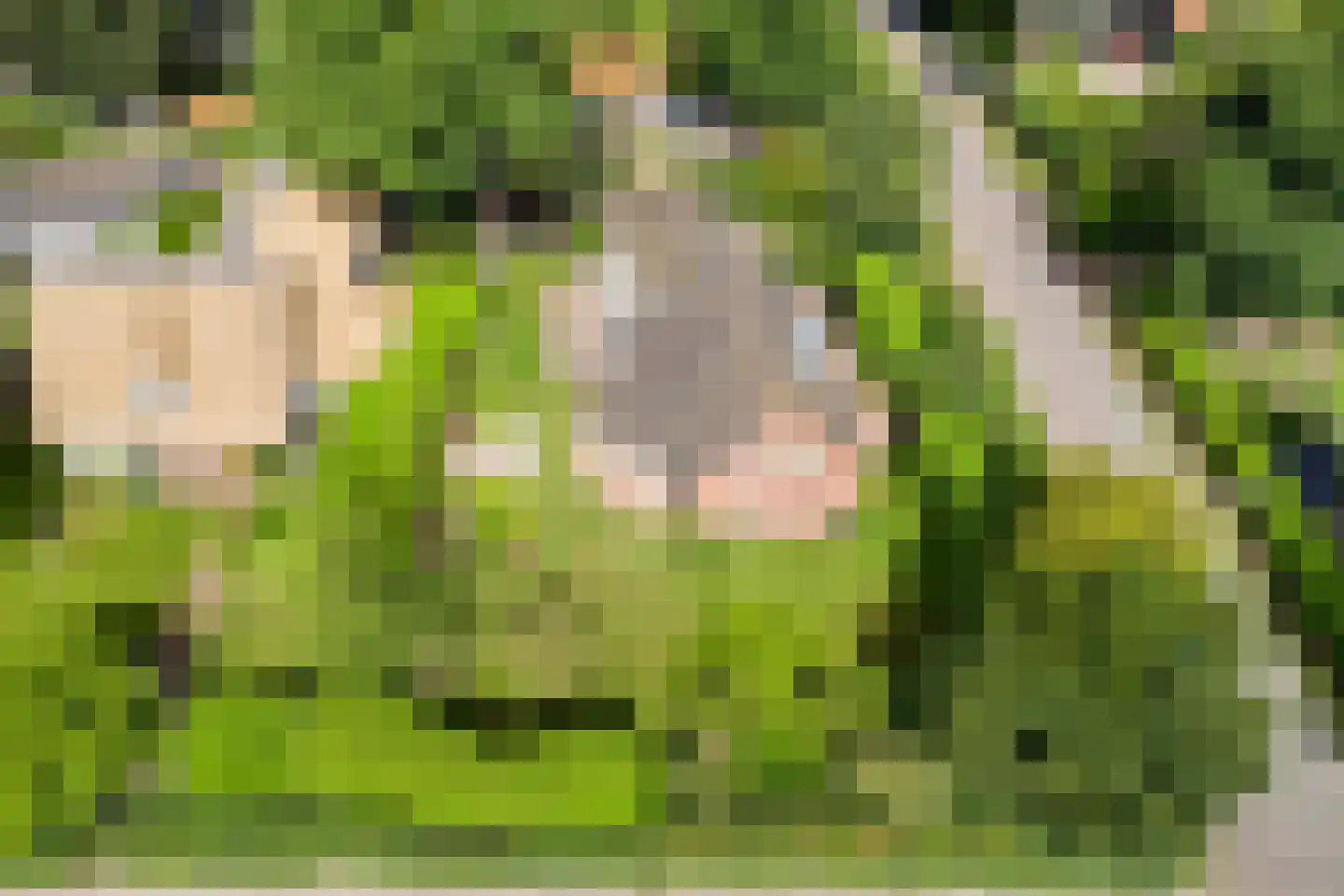 Van Foreestlaan 2 Heiloo thumbnail 70