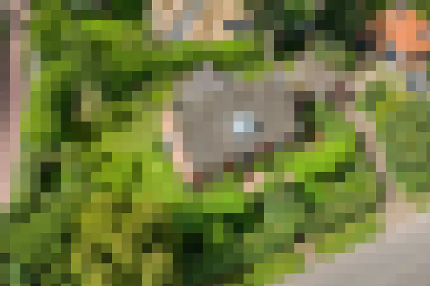 Van Foreestlaan 2 Heiloo thumbnail 71