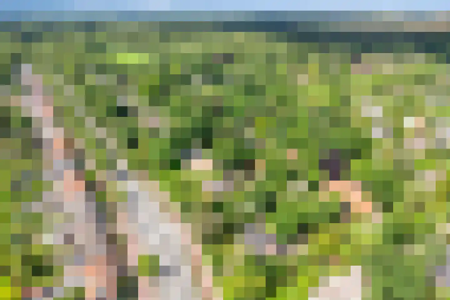 Van Foreestlaan 2 Heiloo thumbnail 72