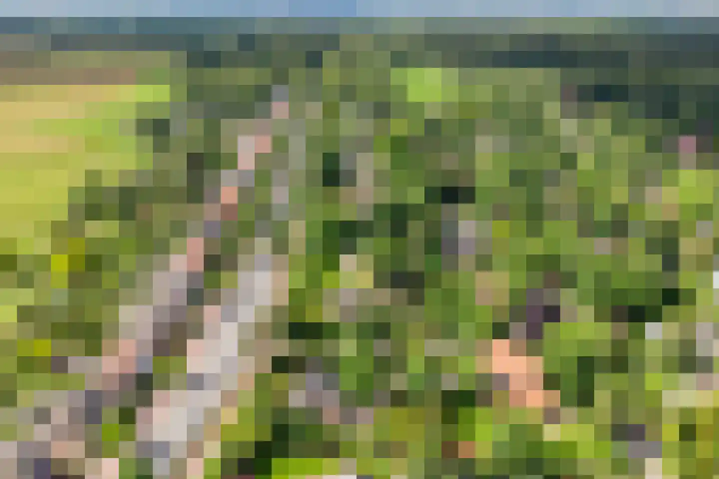 Van Foreestlaan 2 Heiloo thumbnail 73