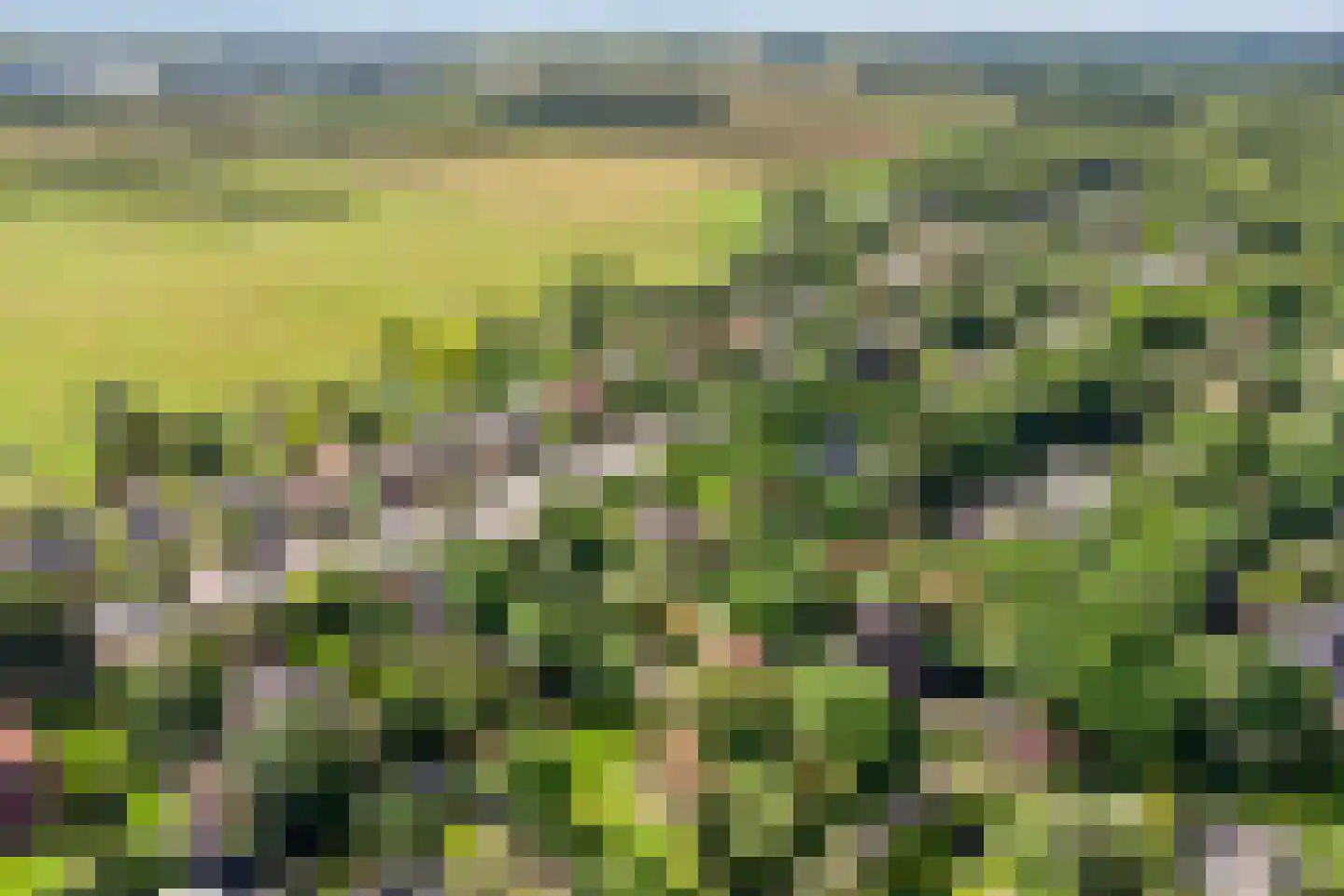 Van Foreestlaan 2 Heiloo thumbnail 74