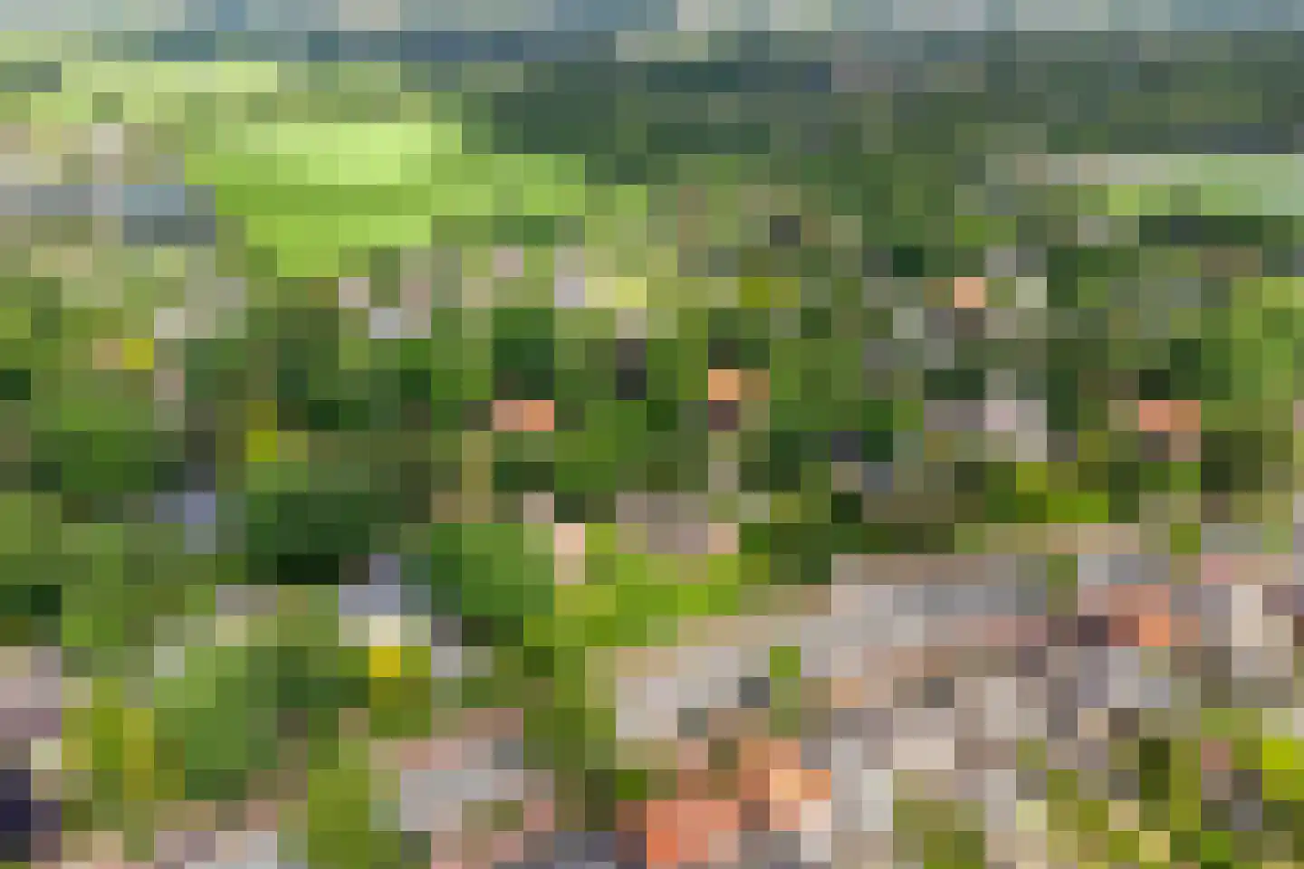 Van Foreestlaan 2 Heiloo thumbnail 75