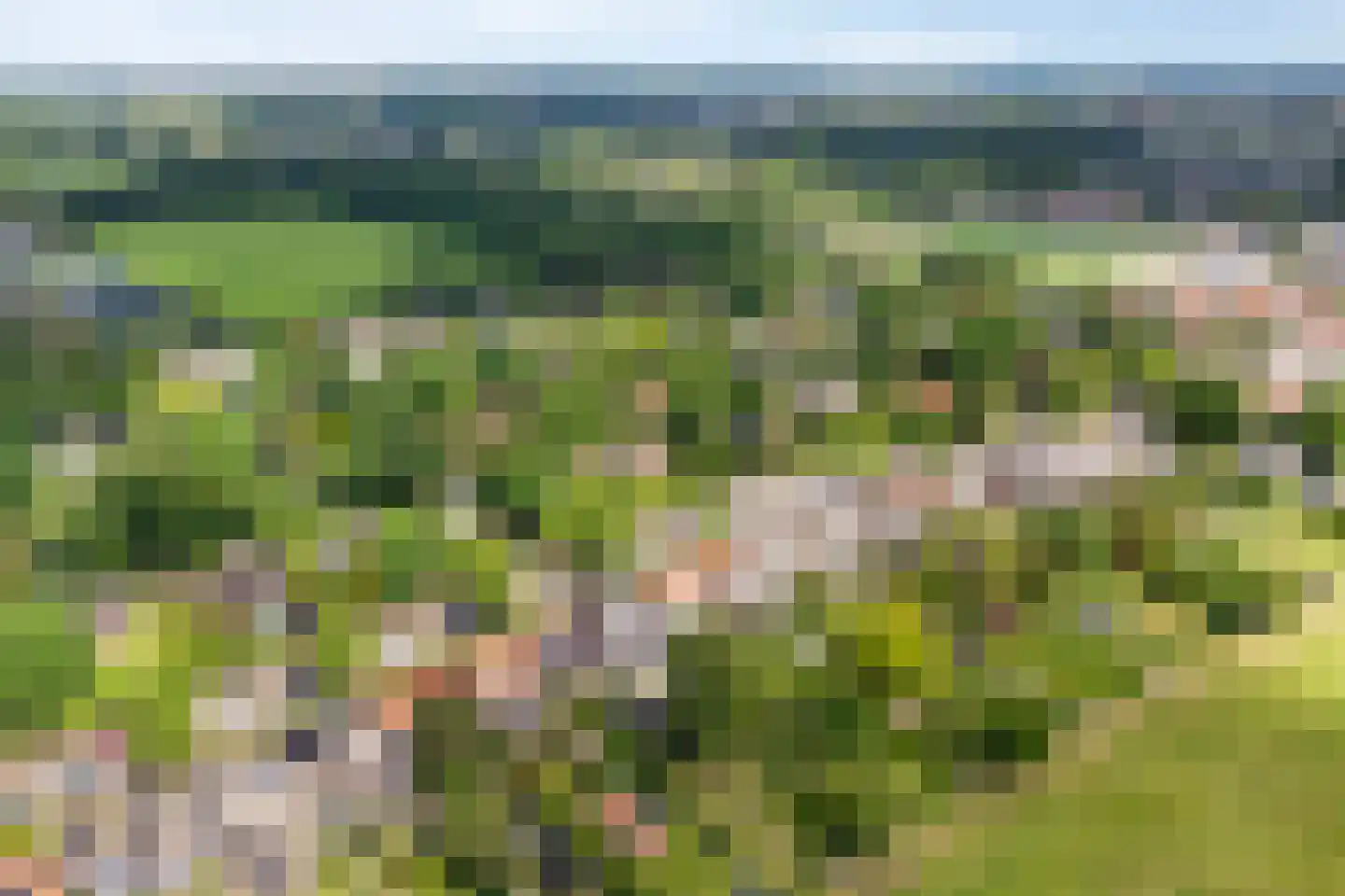 Van Foreestlaan 2 Heiloo thumbnail 76