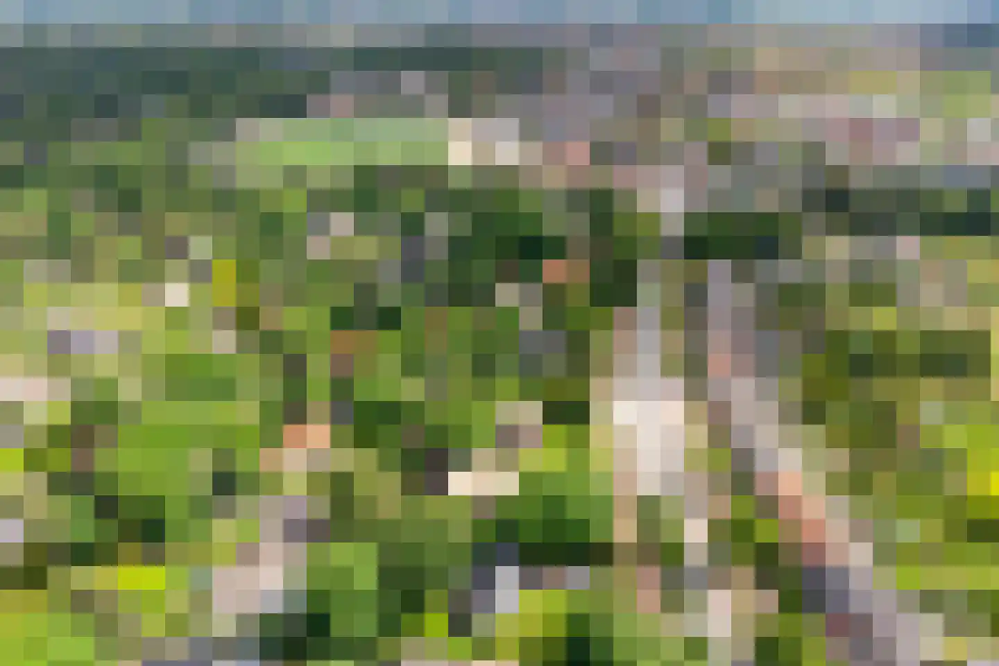 Van Foreestlaan 2 Heiloo thumbnail 77