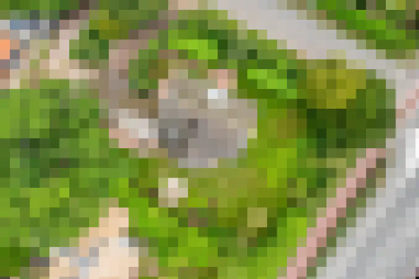 Van Foreestlaan 2 Heiloo thumbnail 79