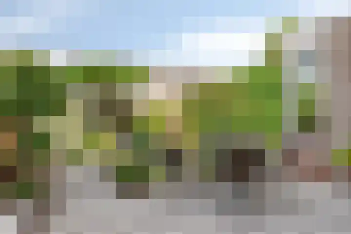 Van Foreestlaan 23 Barendrecht thumbnail 23