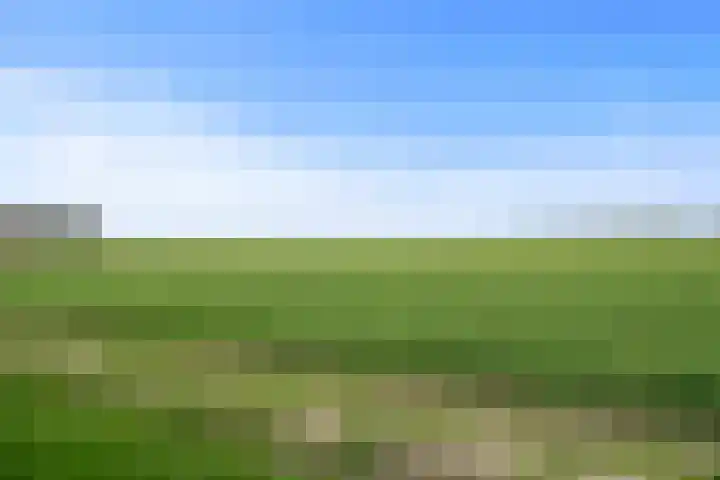 Van Foreestweg 103 Julianadorp thumbnail 21
