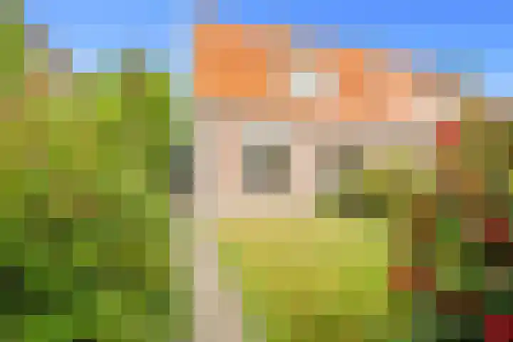 Van Foreestweg 103 Julianadorp thumbnail 36