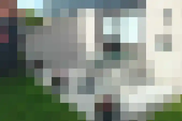 Van Foreestweg 15 61 Julianadorp thumbnail 13