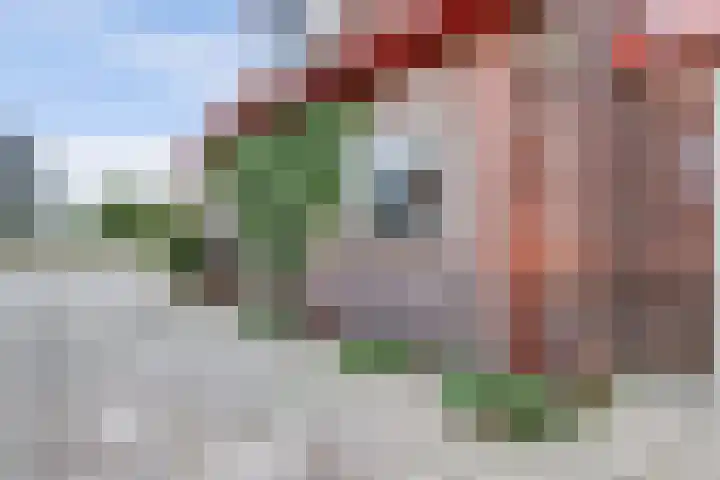 Van Foreestweg 25 Julianadorp thumbnail 27