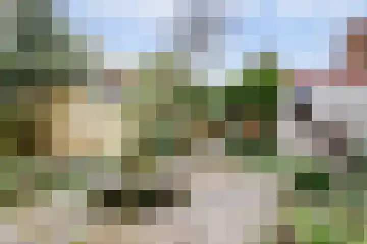 Van Foreestweg 25 Julianadorp thumbnail 32