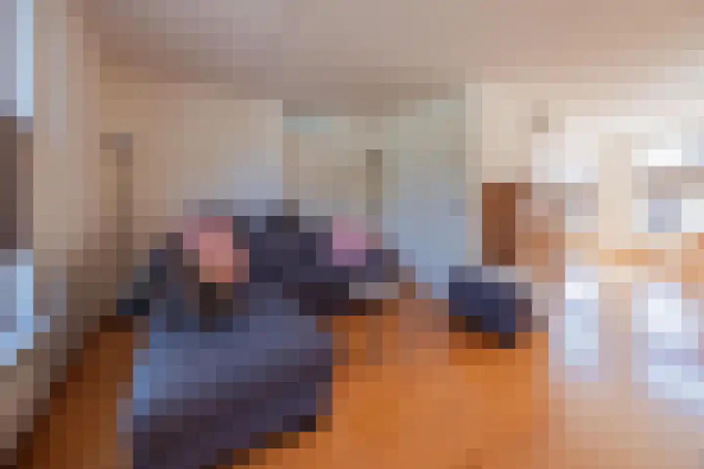 Van Frezinstraat 1 Horst thumbnail 12