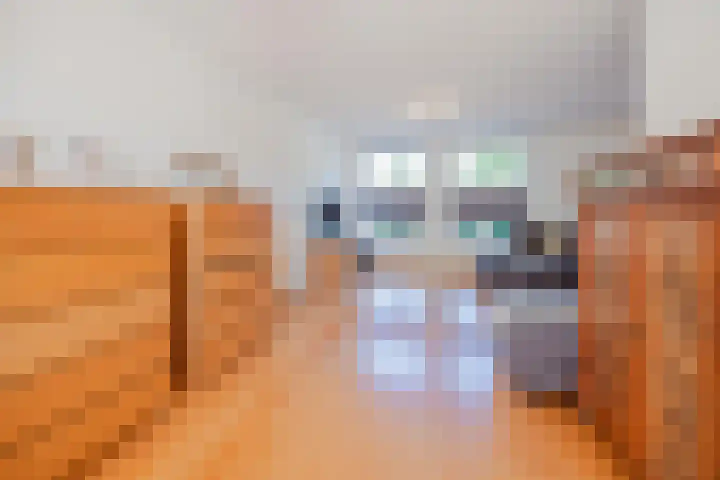 Van Frezinstraat 1 Horst thumbnail 13