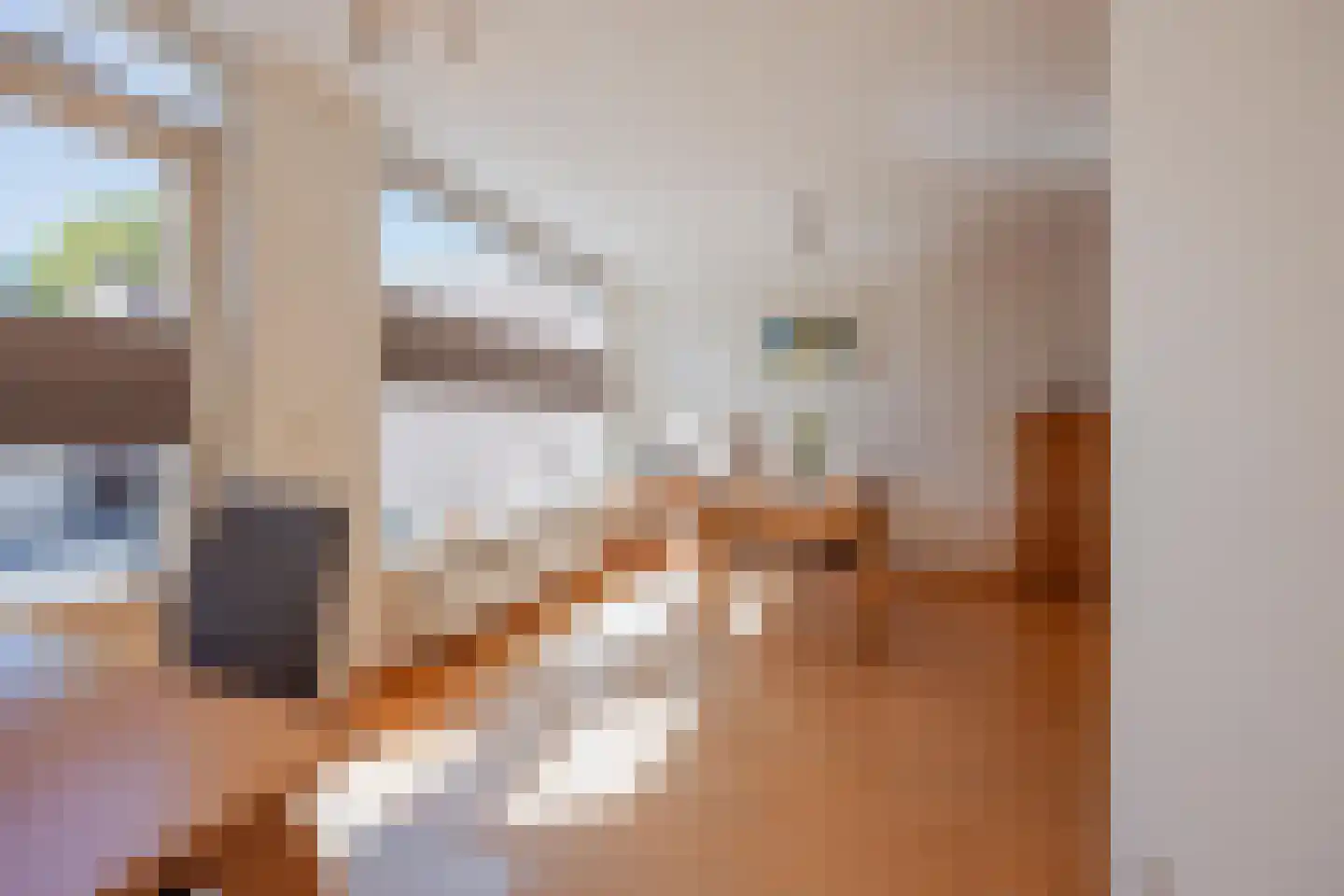 Van Frezinstraat 1 Horst thumbnail 17