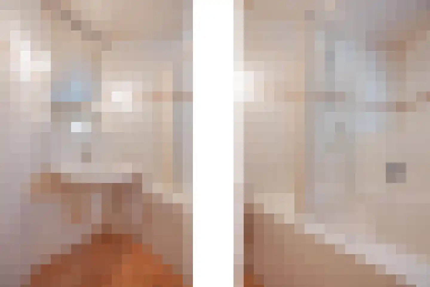 Van Frezinstraat 1 Horst thumbnail 30