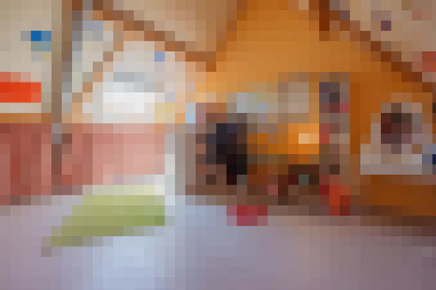 Van Frezinstraat 1 Horst thumbnail 31