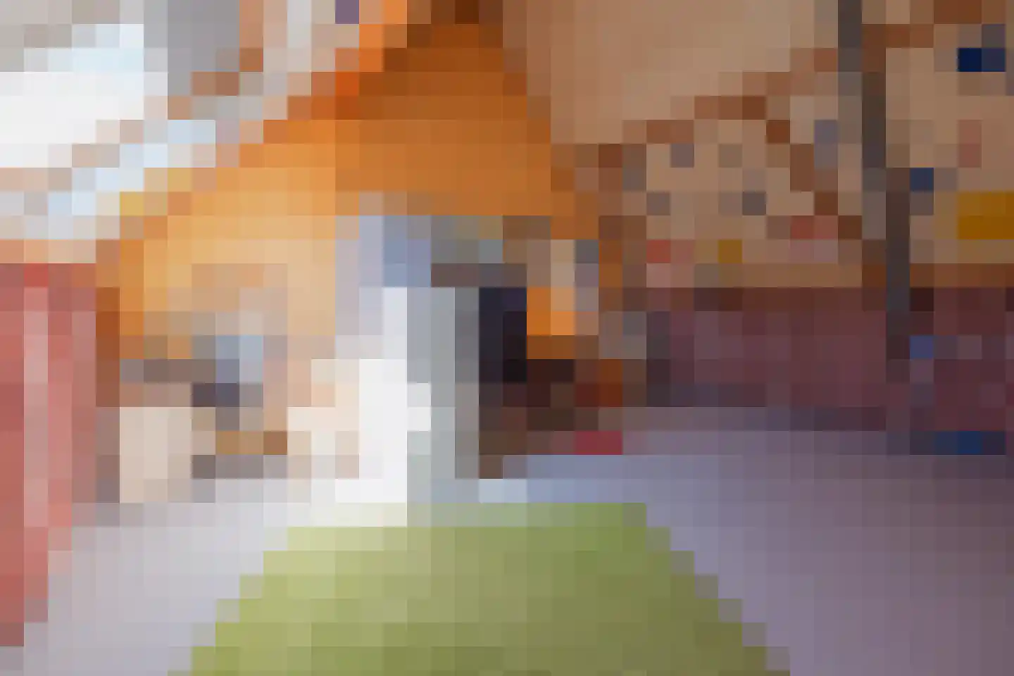 Van Frezinstraat 1 Horst thumbnail 32