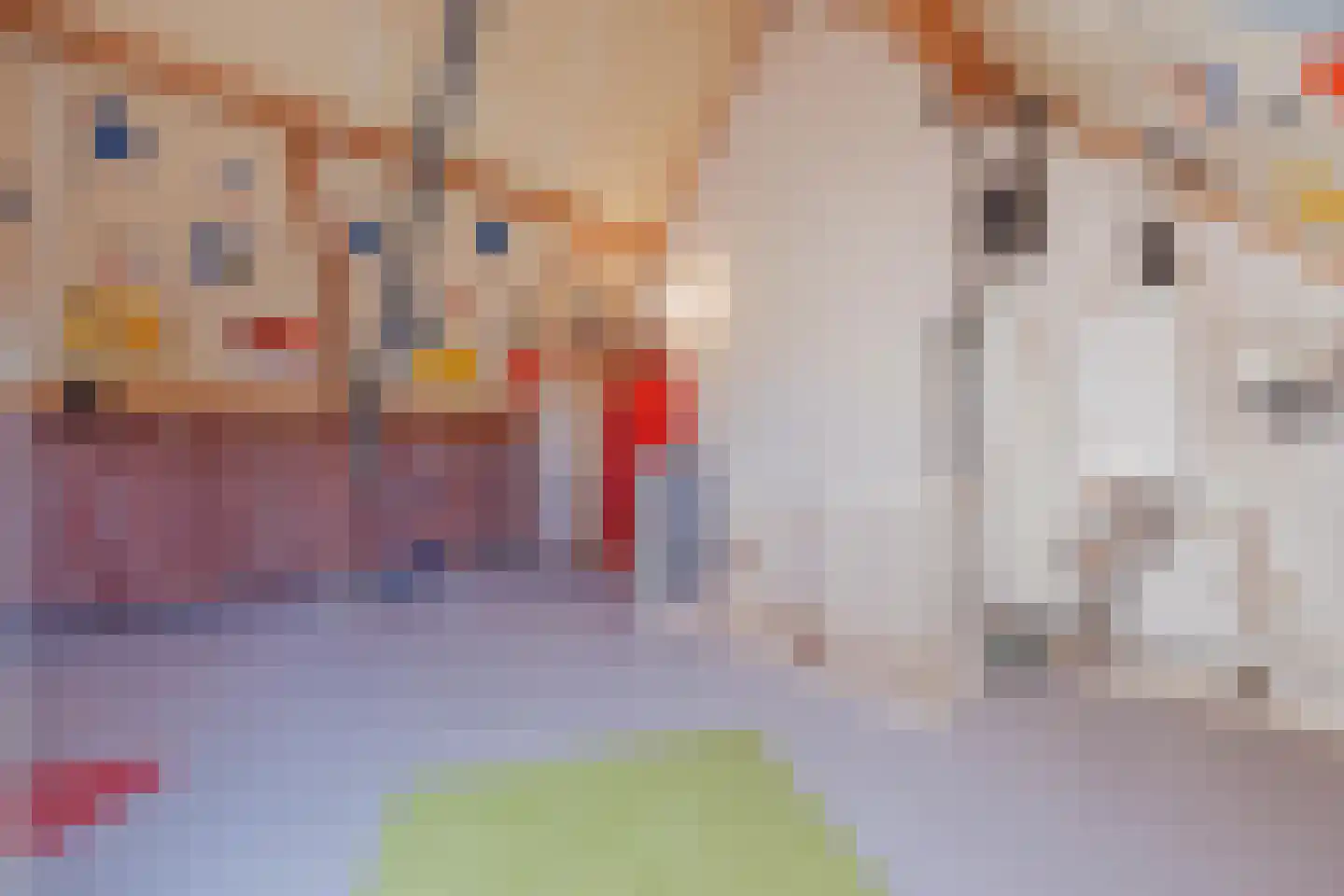 Van Frezinstraat 1 Horst thumbnail 34