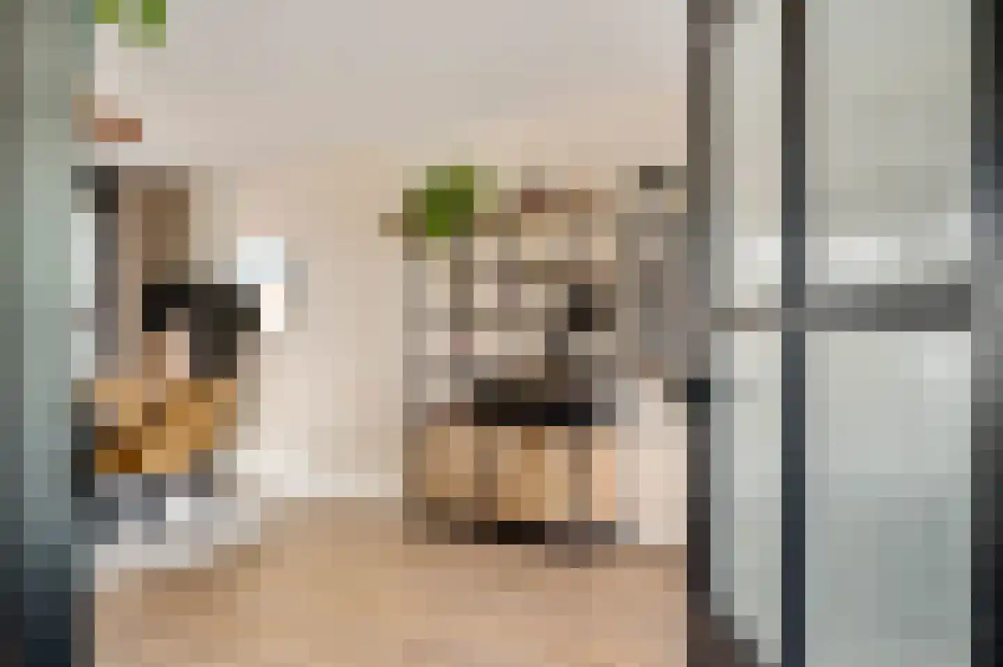 Van Frezinstraat 19 Horst thumbnail 13