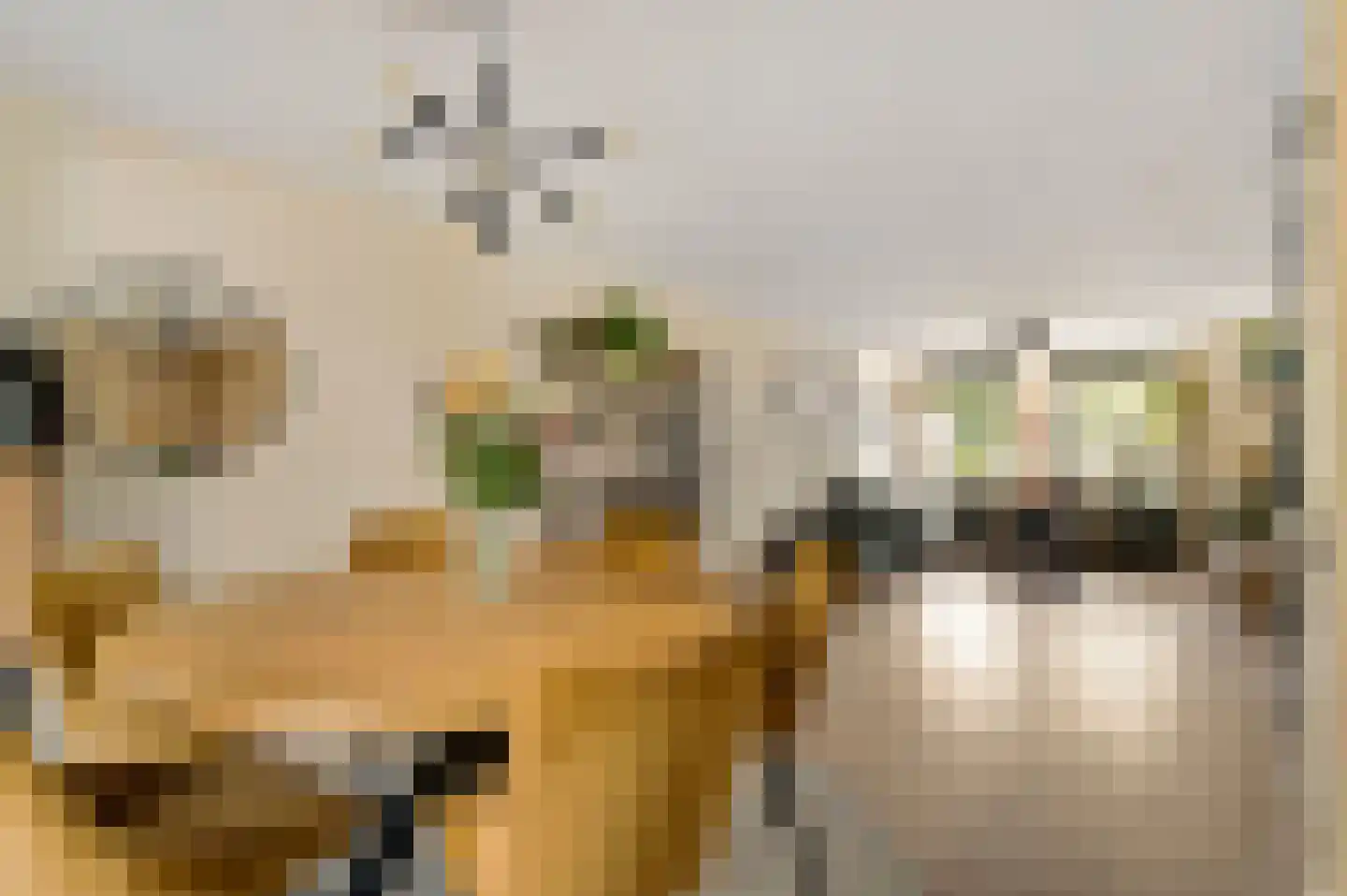 Van Frezinstraat 19 Horst thumbnail 15